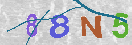 Immagine CAPTCHA